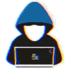 Developer